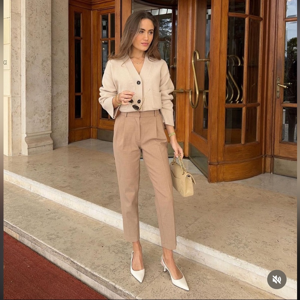 NWT Aritzia Babylon Vogue Pant in Camel